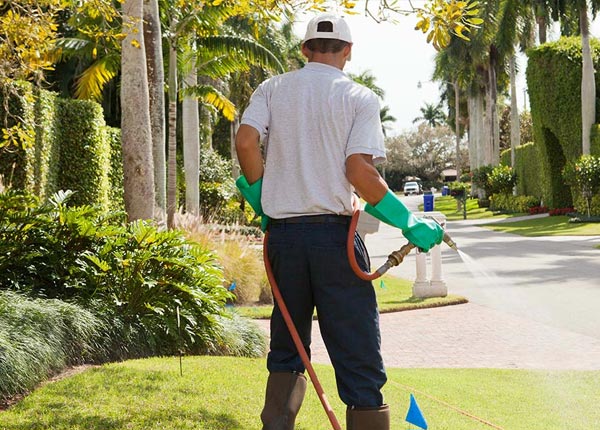About Cassville MO Pest Control